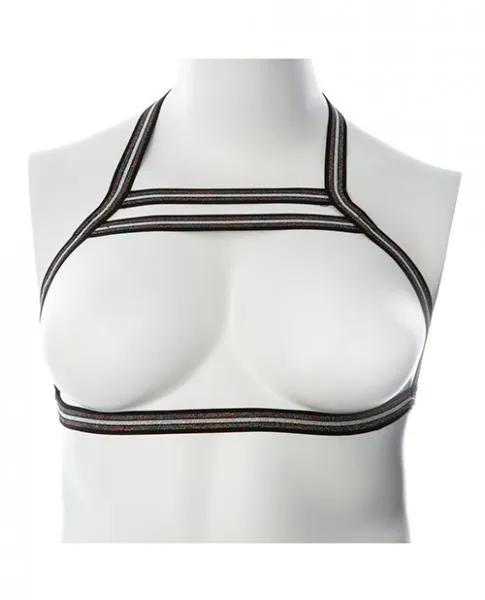 Anal Gender Fluid Silver Lining Harness S L BlackSilver Gender Fluid