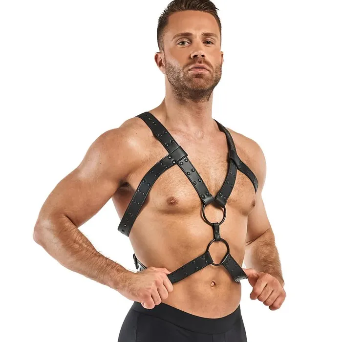 Bedroom Fantasies Anal Rocco Bondage Harness Black