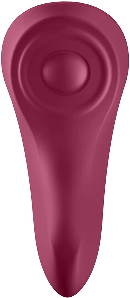 Satisfyer Vibrators Sexy Secret Panty Vibe